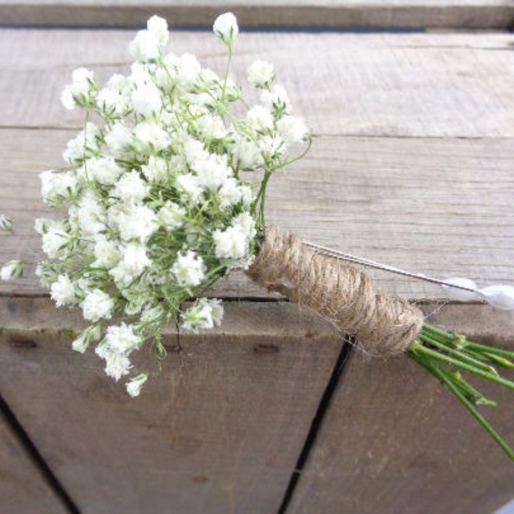 Dried Baby's Breath Boutonniere